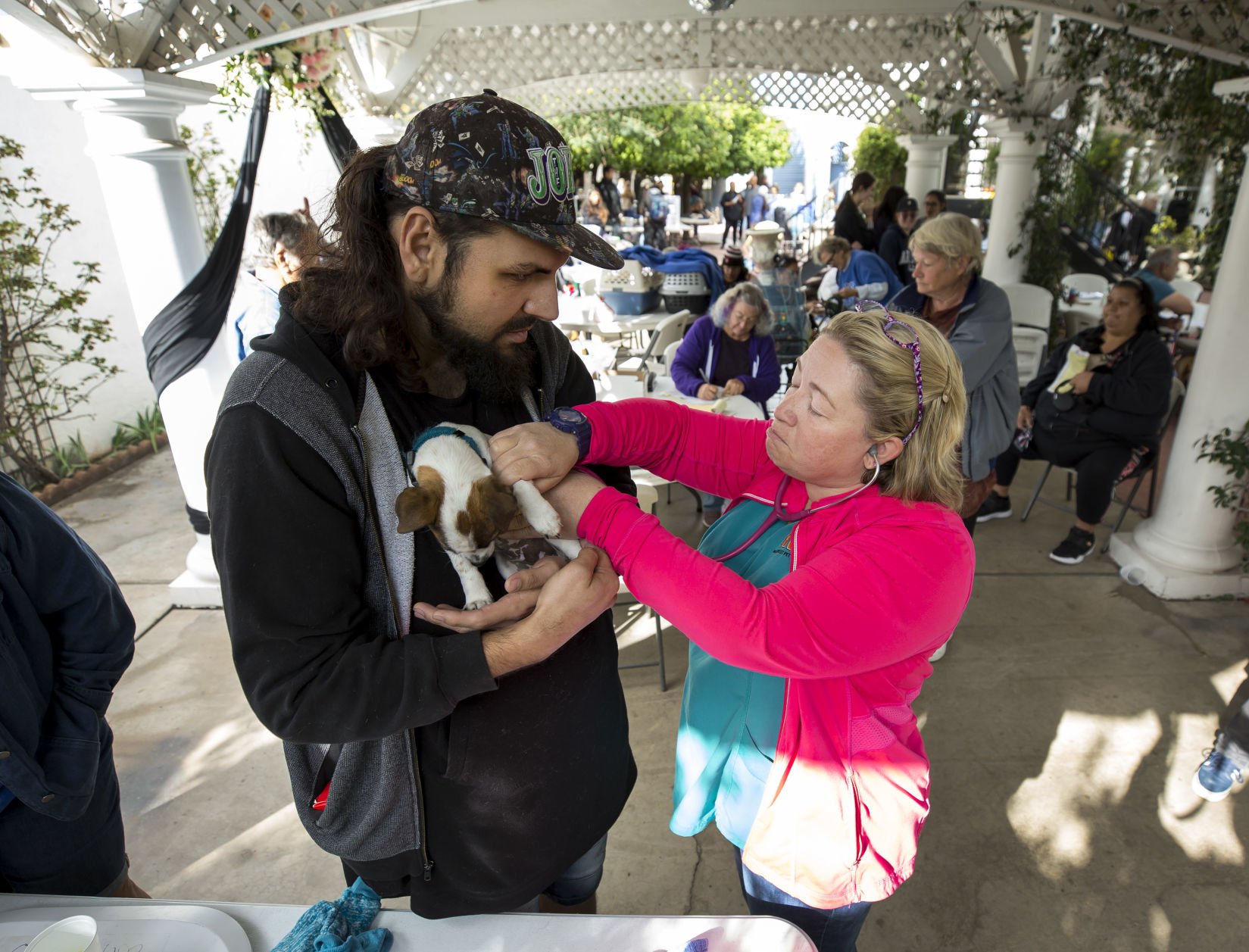mobile pet clinic